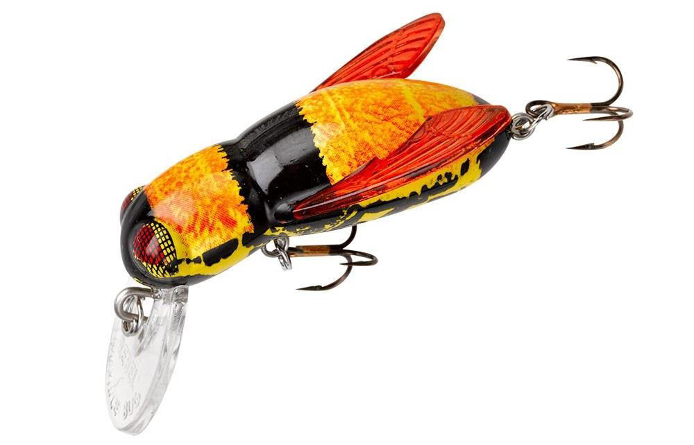Rebel Bumble Bug