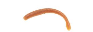 Berkley Gulp Fry