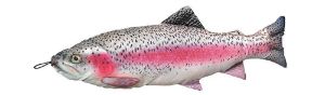 Fladen Fish Cushion 
