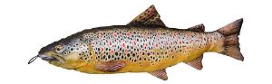 Fladen Fish Cushion 