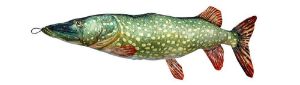 Fladen Fish Cushion 