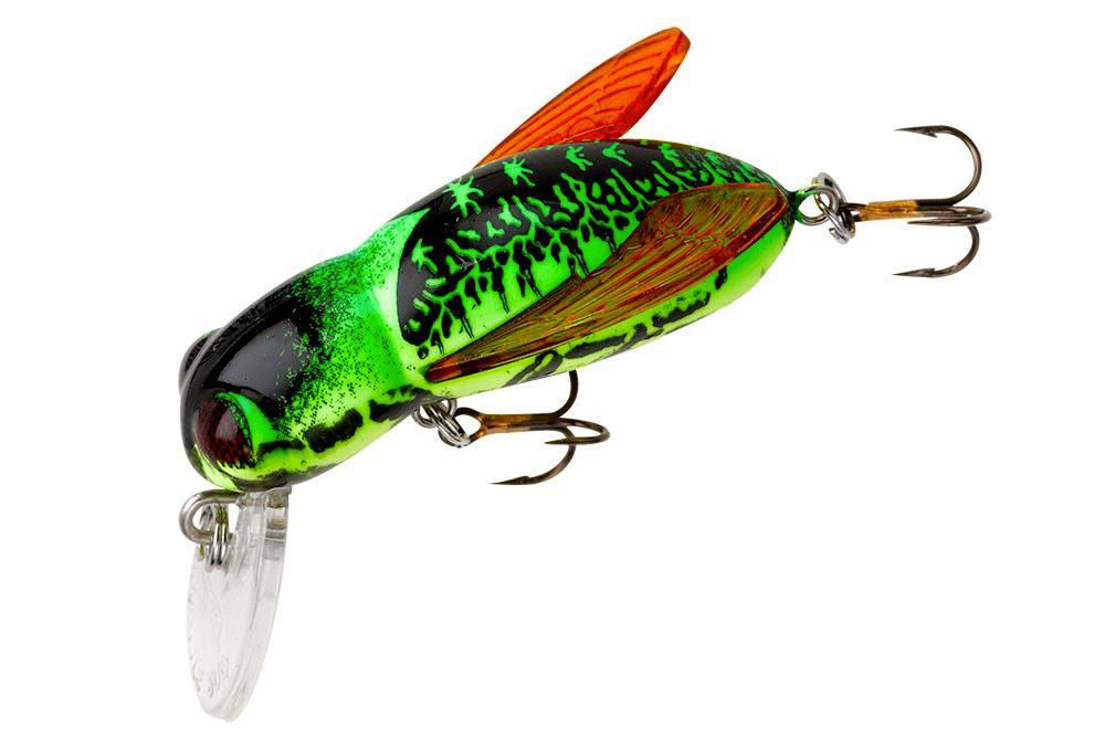 Rebel Bumble Bug