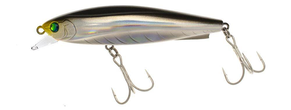Daiwa Morethan Gipsy