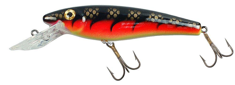 Musky Mania Li'l Ernie