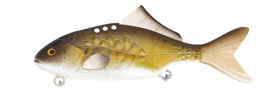 Black Cat Baby Carp