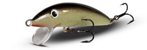 Real Winner Minnow