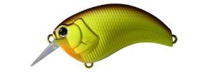 Deps Evoke 2.0