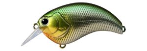 Deps Evoke 2.0