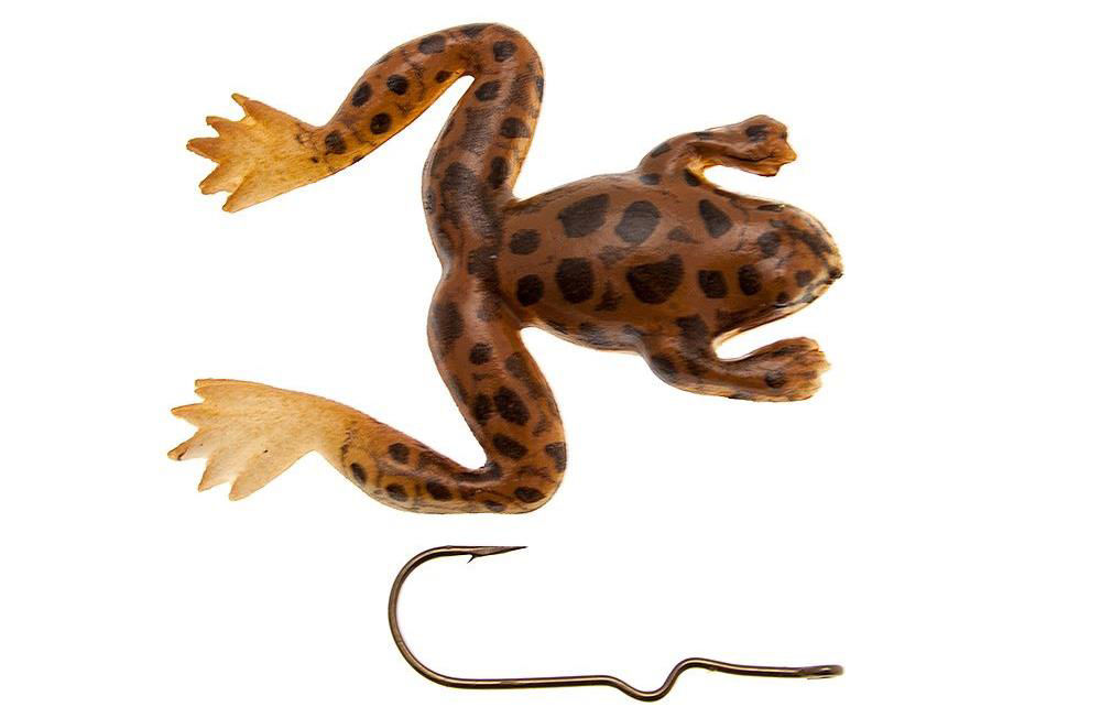 Burke Small Frog Bullfrog