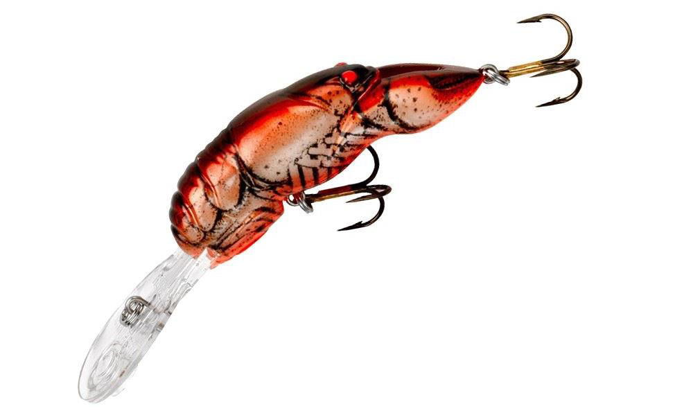 Rebel Crawfish