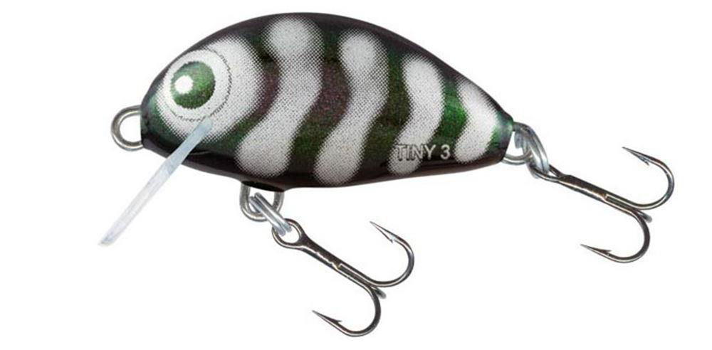 Salmo Tiny