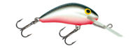 Salmo Hornet