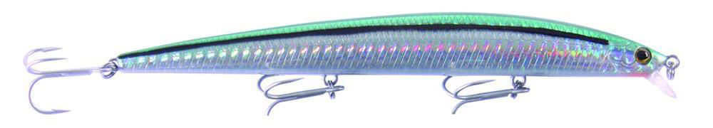 Yokozuna Montero 165