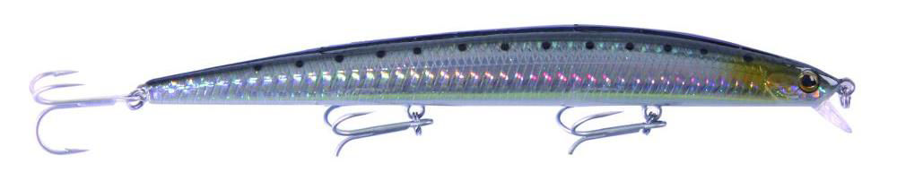 Yokozuna Montero 165