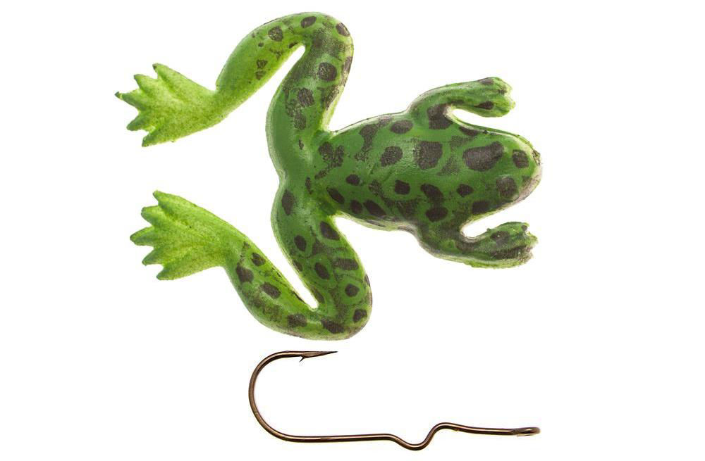 Burke Small Frog Bullfrog