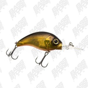 Deps Korrigan MR
