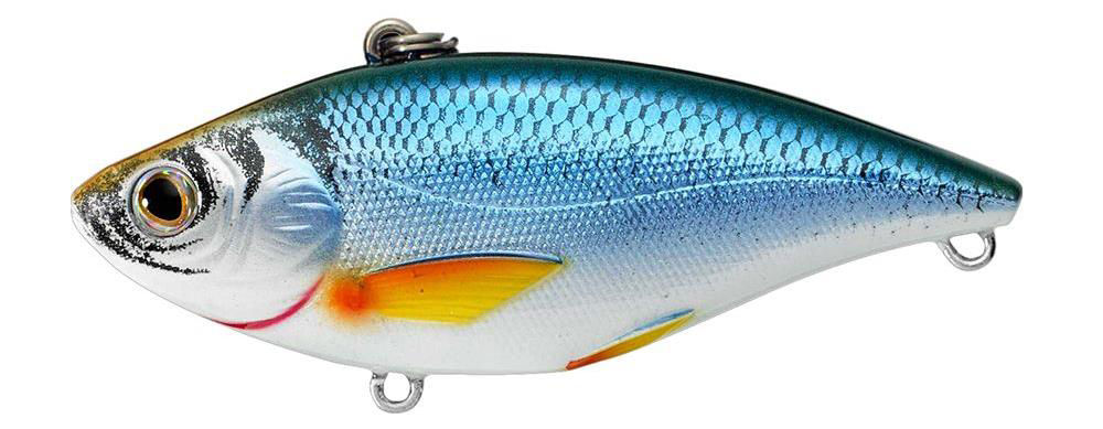 Livetarget Golden Shiner Rattlebait