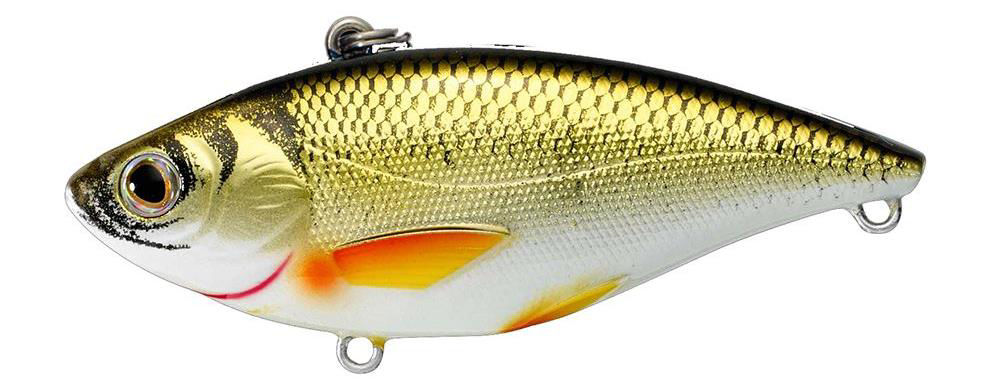 Livetarget Golden Shiner Rattlebait