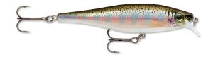Rapala BX Minnow