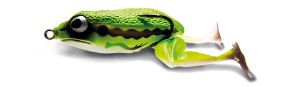 Molix Frog