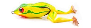Molix Frog