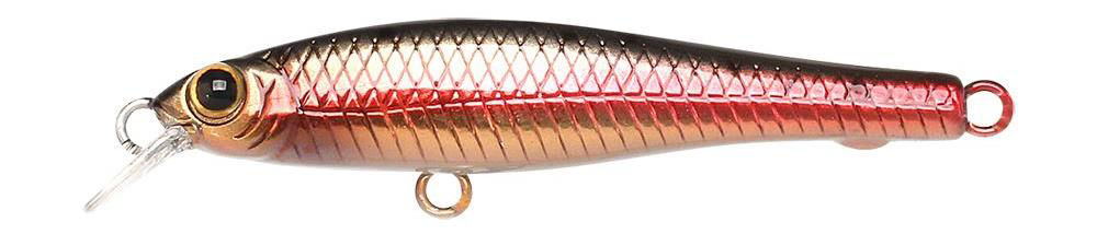 Lucky Craft Bevy Pointer MR