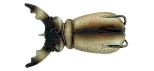 Molix Supernato Beetle Baby