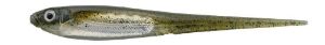 Imakatsu Flash Needle Shad
