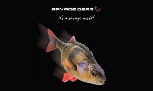 Savage Gear 4D Line Thru Perch