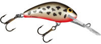 Salmo Hornet