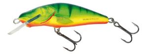 Salmo Bullhead