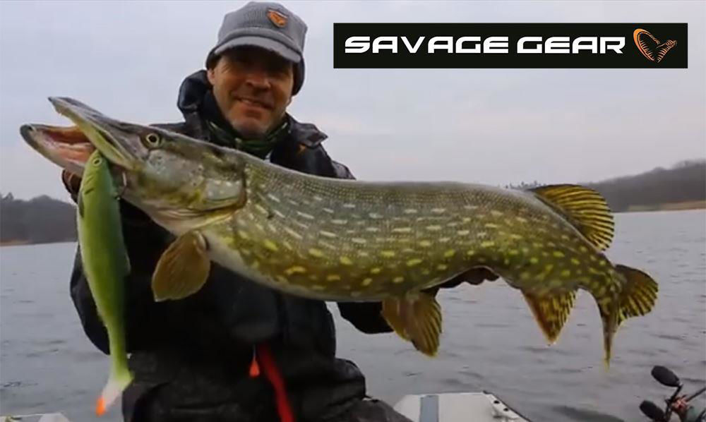 Savage Gear 3D LB Herring Shad Ready To Fish