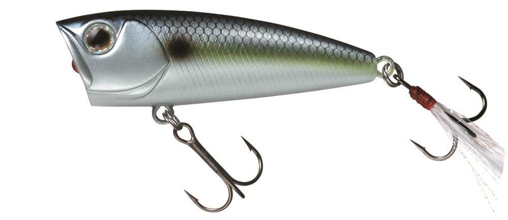 Daiwa Steez Popper