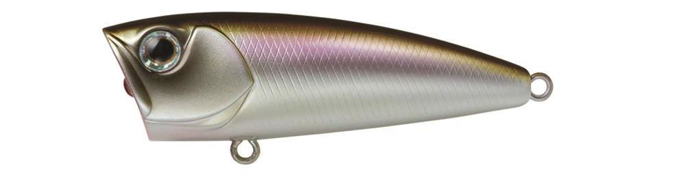 Daiwa Steez Popper