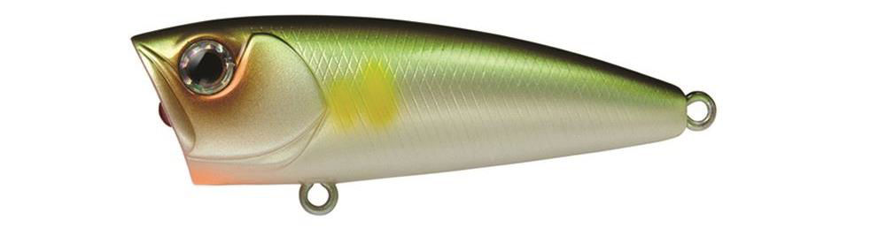 Daiwa Steez Popper