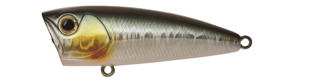 Daiwa Steez Popper
