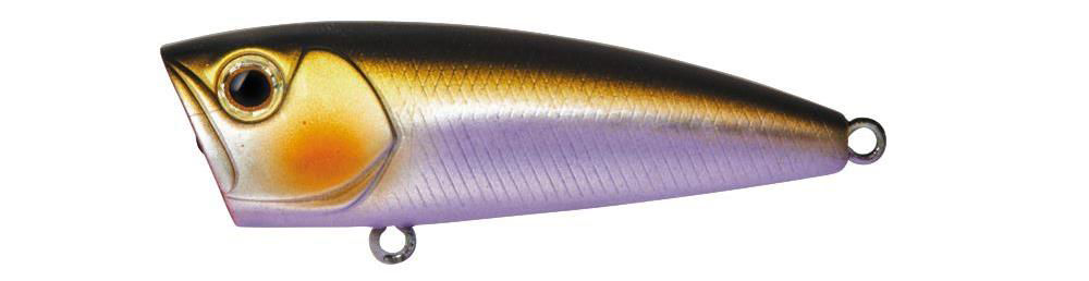 Daiwa Steez Popper
