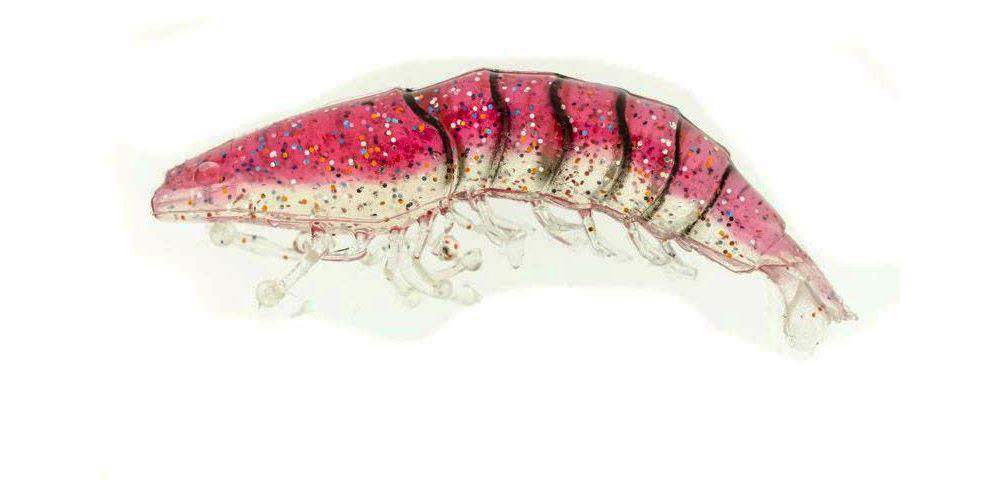 Molix Shrimp