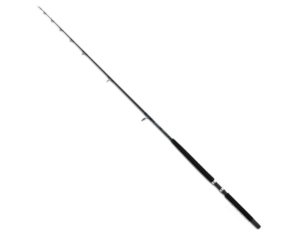 Daiwa Sealine Spinning rods