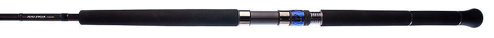 Daiwa Saltiga J spinning