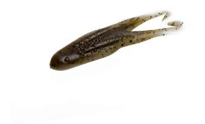 Zoom Horny Toad