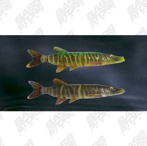 Savage Gear 4D Line Thru Pike