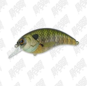 Deps Evoke 4.0