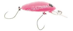 Nories Crankin' Pupa