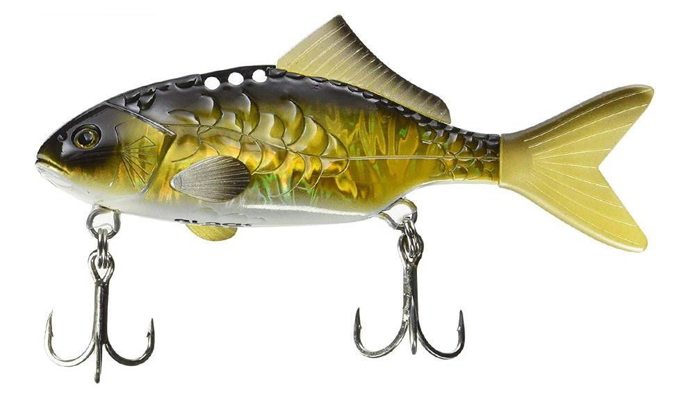 Black Cat Baby Carp