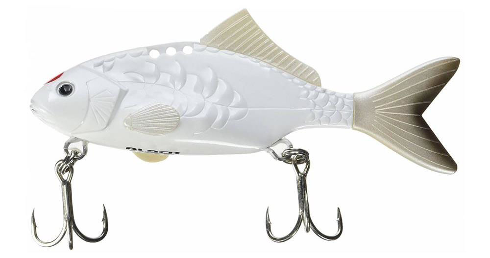 Black Cat Baby Carp