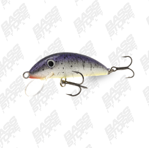 Real Winner Minnow