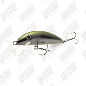 Real Winner Minnow