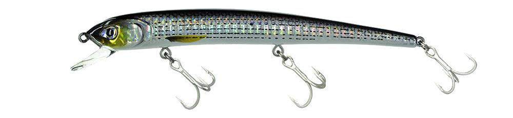 Molix Audace 130