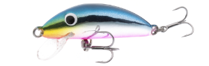 Real Winner Minnow